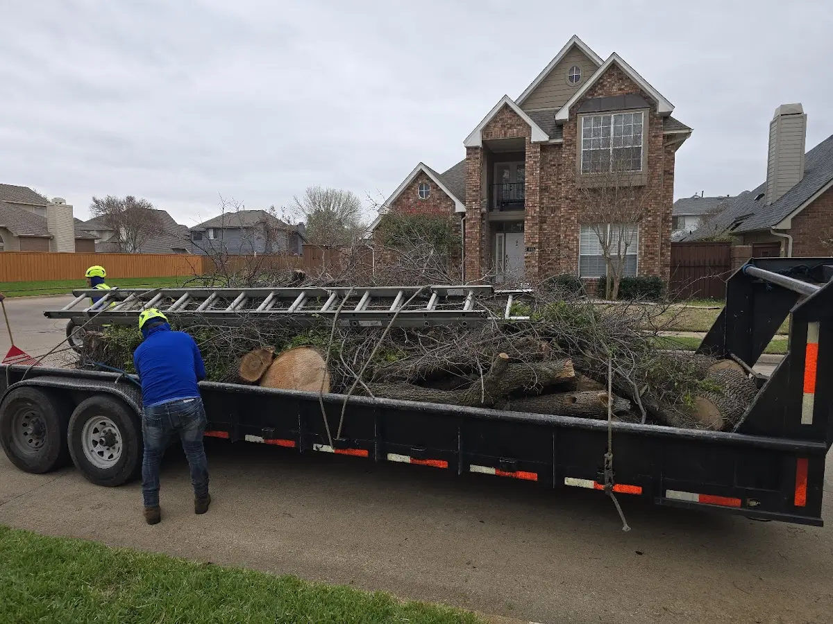 Expert Tree Removal with proper safety equipment in Loch Sheldrake